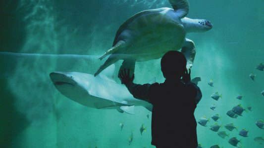 Grand aquarium de Saint-Malo